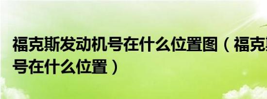 福克斯发动机号在什么位置图（福克斯发动机号在什么位置）