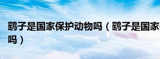 鹞子是国家保护动物吗（鹞子是国家保护动物吗）