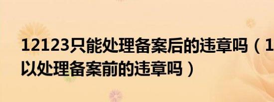 12123只能处理备案后的违章吗（12123可以处理备案前的违章吗）