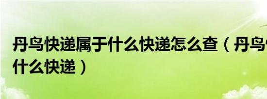 丹鸟快递属于什么快递怎么查（丹鸟快递属于什么快递）