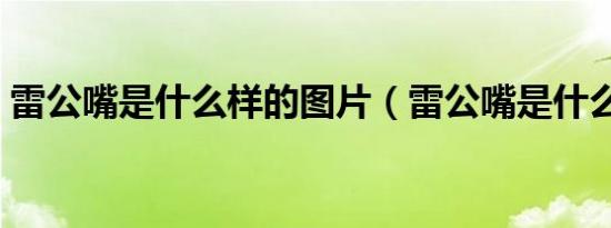 雷公嘴是什么样的图片（雷公嘴是什么样的）