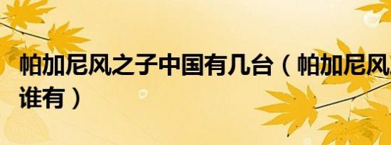 帕加尼风之子中国有几台（帕加尼风之子中国谁有）