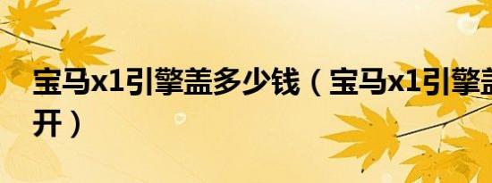 宝马x1引擎盖多少钱（宝马x1引擎盖怎么打开）