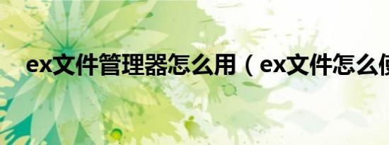 ex文件管理器怎么用（ex文件怎么使用）