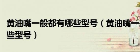 黄油嘴一般都有哪些型号（黄油嘴一般都有哪些型号）