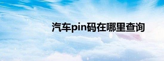 汽车pin码在哪里查询