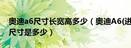 奥迪a6尺寸长宽高多少（奥迪A6(进口)车身尺寸是多少）