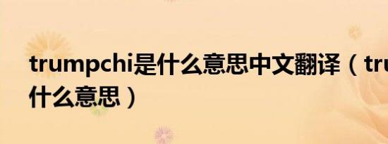 trumpchi是什么意思中文翻译（trumpchi什么意思）