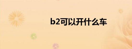 b2可以开什么车
