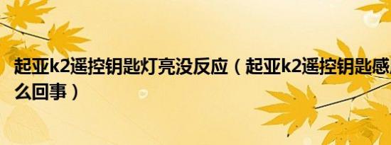 起亚k2遥控钥匙灯亮没反应（起亚k2遥控钥匙感应不到是怎么回事）