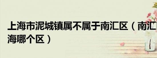 上海市泥城镇属不属于南汇区（南汇区属于上海哪个区）
