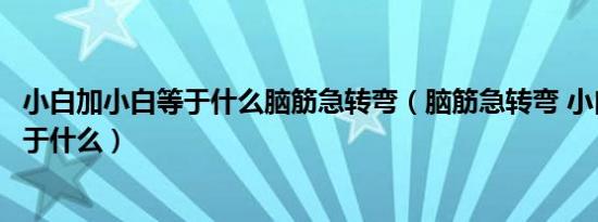 小白加小白等于什么脑筋急转弯（脑筋急转弯 小白加小白等于什么）