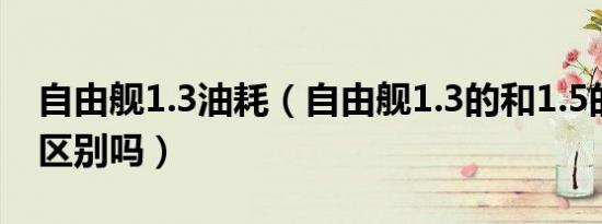 自由舰1.3油耗（自由舰1.3的和1.5的有什么区别吗）