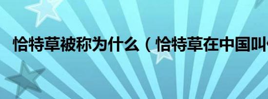 恰特草被称为什么（恰特草在中国叫什么）