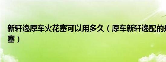 新轩逸原车火花塞可以用多久（原车新轩逸配的是什么火花塞）