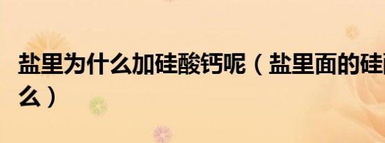 盐里为什么加硅酸钙呢（盐里面的硅酸钙是什么）