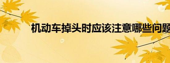机动车掉头时应该注意哪些问题