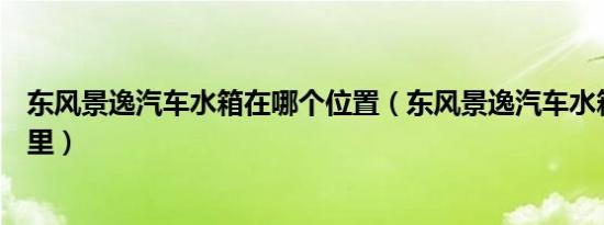 东风景逸汽车水箱在哪个位置（东风景逸汽车水箱位置在哪里）