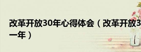 改革开放30年心得体会（改革开放30年是哪一年）