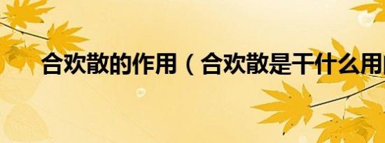 合欢散的作用（合欢散是干什么用的）