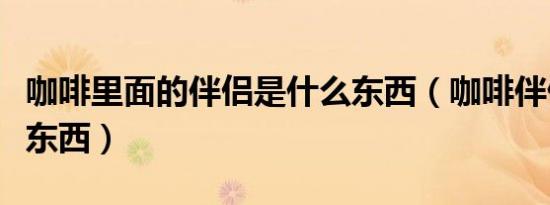 咖啡里面的伴侣是什么东西（咖啡伴侣是什么东西）