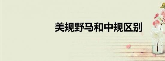 美规野马和中规区别