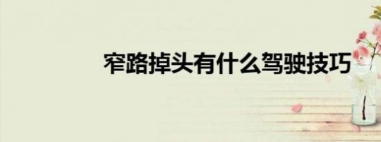 窄路掉头有什么驾驶技巧