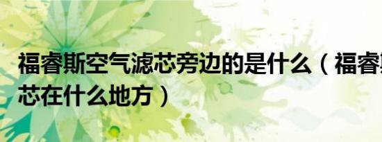 福睿斯空气滤芯旁边的是什么（福睿斯空气滤芯在什么地方）