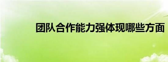 团队合作能力强体现哪些方面