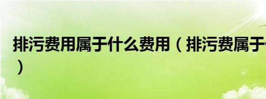 排污费用属于什么费用（排污费属于什么费用）