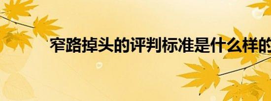 窄路掉头的评判标准是什么样的