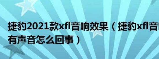 捷豹2021款xfl音响效果（捷豹xfl音响突然没有声音怎么回事）