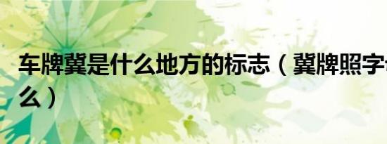 车牌冀是什么地方的标志（冀牌照字母代表什么）