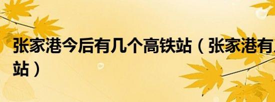 张家港今后有几个高铁站（张家港有几个高铁站）