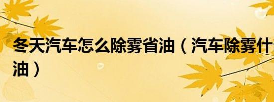 冬天汽车怎么除雾省油（汽车除雾什么方法省油）