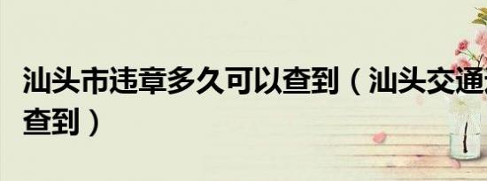 汕头市违章多久可以查到（汕头交通违章多久查到）