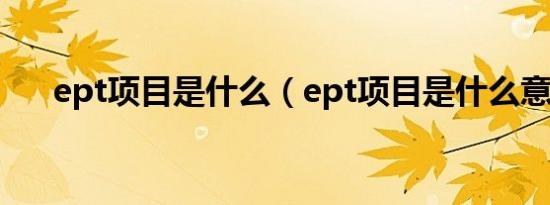 ept项目是什么（ept项目是什么意思）