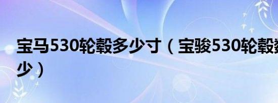 宝马530轮毂多少寸（宝骏530轮毂数据是多少）