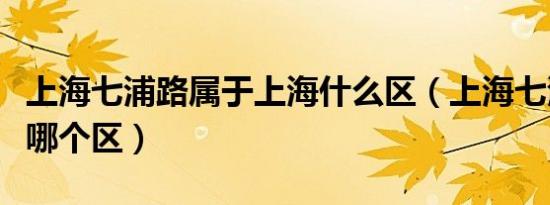 上海七浦路属于上海什么区（上海七浦路属于哪个区）