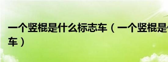 一个竖棍是什么标志车（一个竖棍是什么标志车）