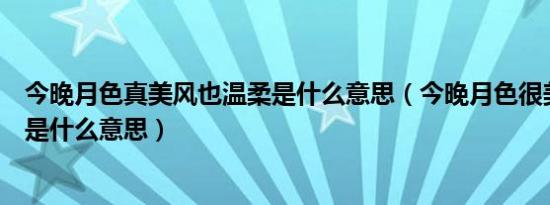 今晚月色真美风也温柔是什么意思（今晚月色很美风也温柔是什么意思）
