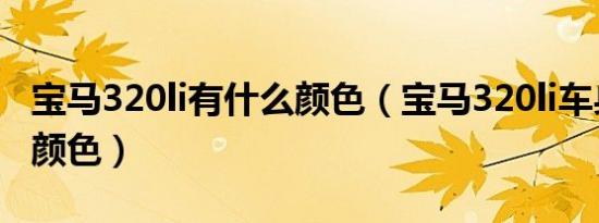 宝马320li有什么颜色（宝马320li车身有几种颜色）