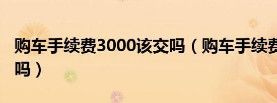 购车手续费3000该交吗（购车手续费3000高吗）
