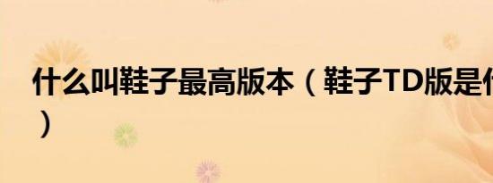 什么叫鞋子最高版本（鞋子TD版是什么意思）