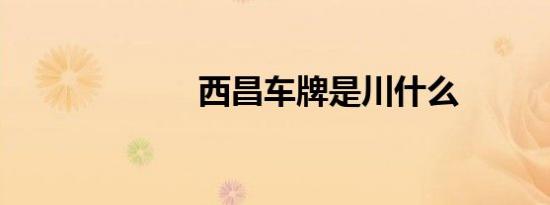 西昌车牌是川什么