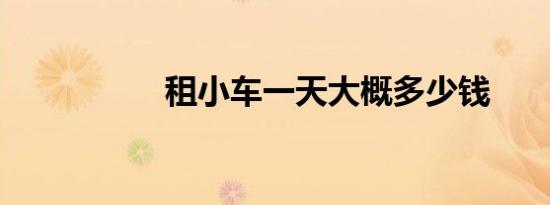 租小车一天大概多少钱
