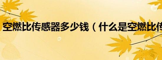 空燃比传感器多少钱（什么是空燃比传感器）
