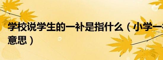 学校说学生的一补是指什么（小学一补是什么意思）