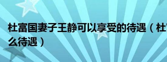 杜富国妻子王静可以享受的待遇（杜富国有什么待遇）