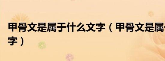 甲骨文是属于什么文字（甲骨文是属于什么文字）